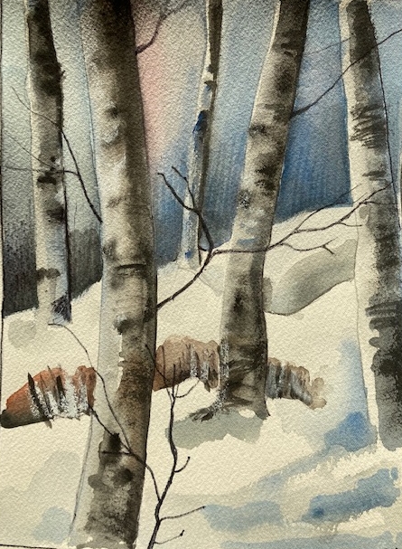 Silver birch in the snow